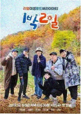 真人秀综艺海报